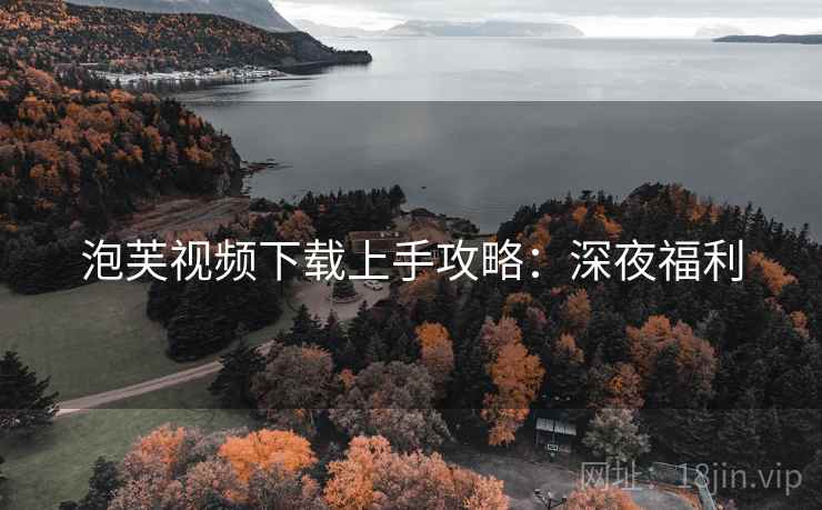 泡芙视频下载上手攻略：深夜福利