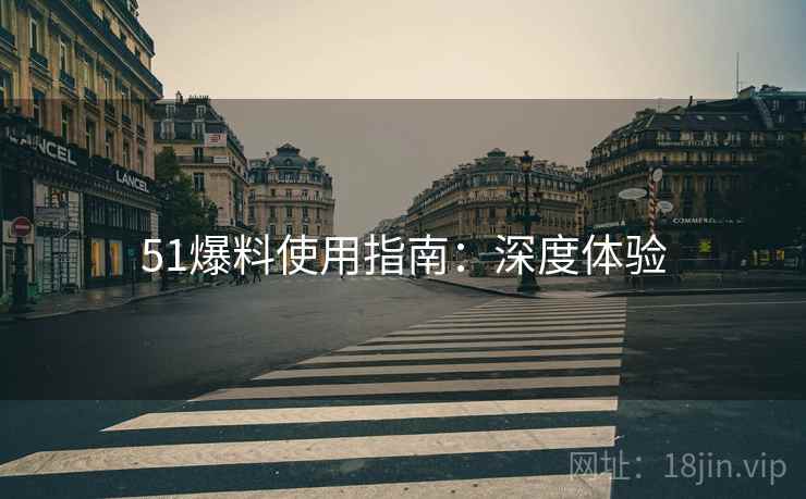 51爆料使用指南：深度体验