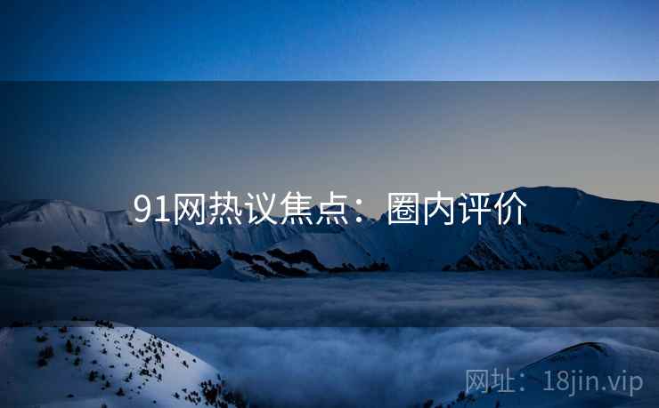91网热议焦点：圈内评价