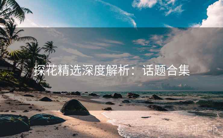 探花精选深度解析：话题合集