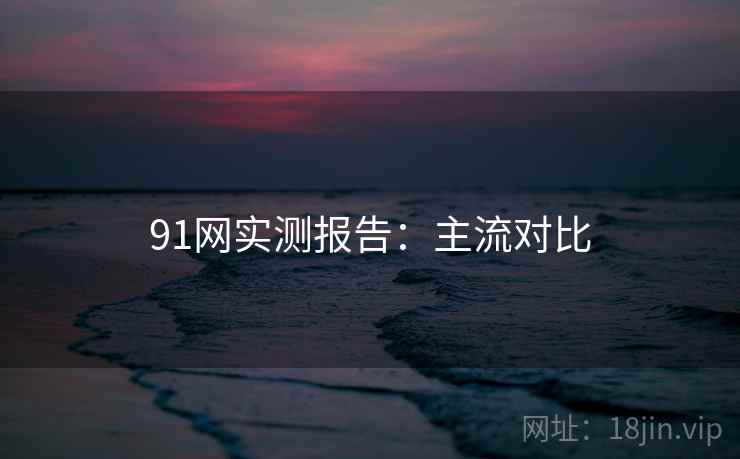 91网实测报告：主流对比