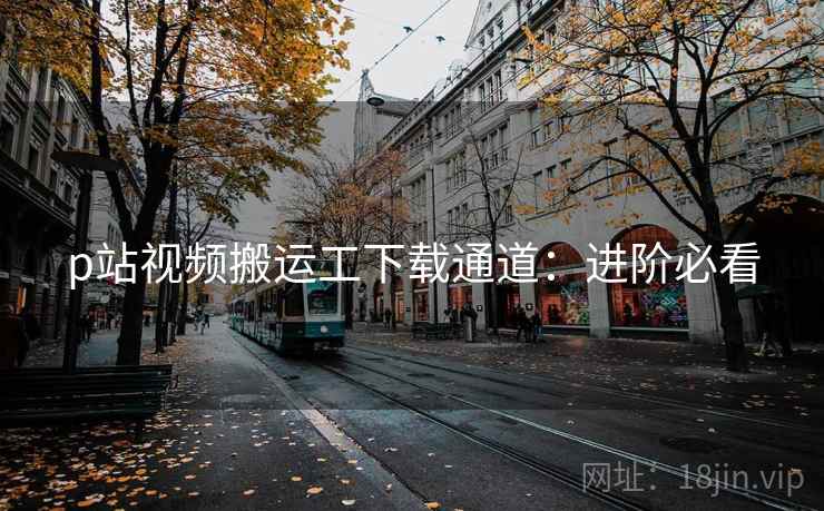 p站视频搬运工下载通道：进阶必看
