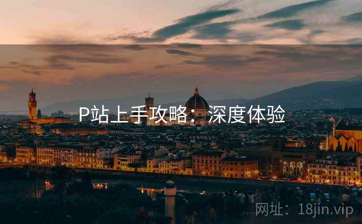 P站上手攻略：深度体验